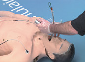 Stat Manikin 